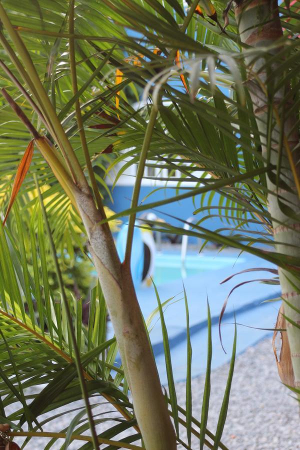 Mallorca Guest house